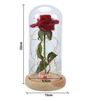 Rosa em uma cúpula de vidro