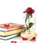 Rosa em uma cúpula de vidro