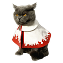Naruto Cat Cloak Cat Clothes Summer Thin Anti-Hair Loss Air Conditioning Room Clothes Cos Ninja Dress up
