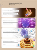 Máquina de secar tênis e sapatos em geral,e bacteriostase por excelência + Desodorante + secagem rápida + temporização