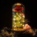 Rosa em uma cúpula de vidro