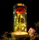 Rosa em uma cúpula de vidro